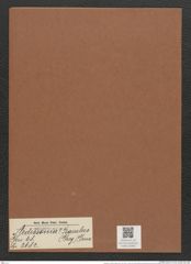 Ardissonia ? baculus (Greg.) Grun. (de-Toni-Nr.: Genus 68, Species 2682) Zeichnungen Sammlung Grunow Mappe 02892 (Herbarium_W_Grunow_drawings_Folder_02892)
